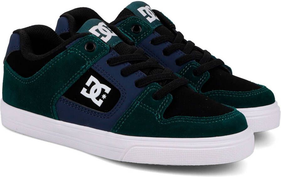 DC Shoes Pure Elastic Schoenen Blauw Jongen