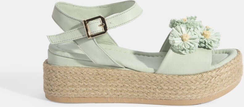 DESA Sandalen Leer Groen Vrouwen Schoenpunt: Nez ouvert