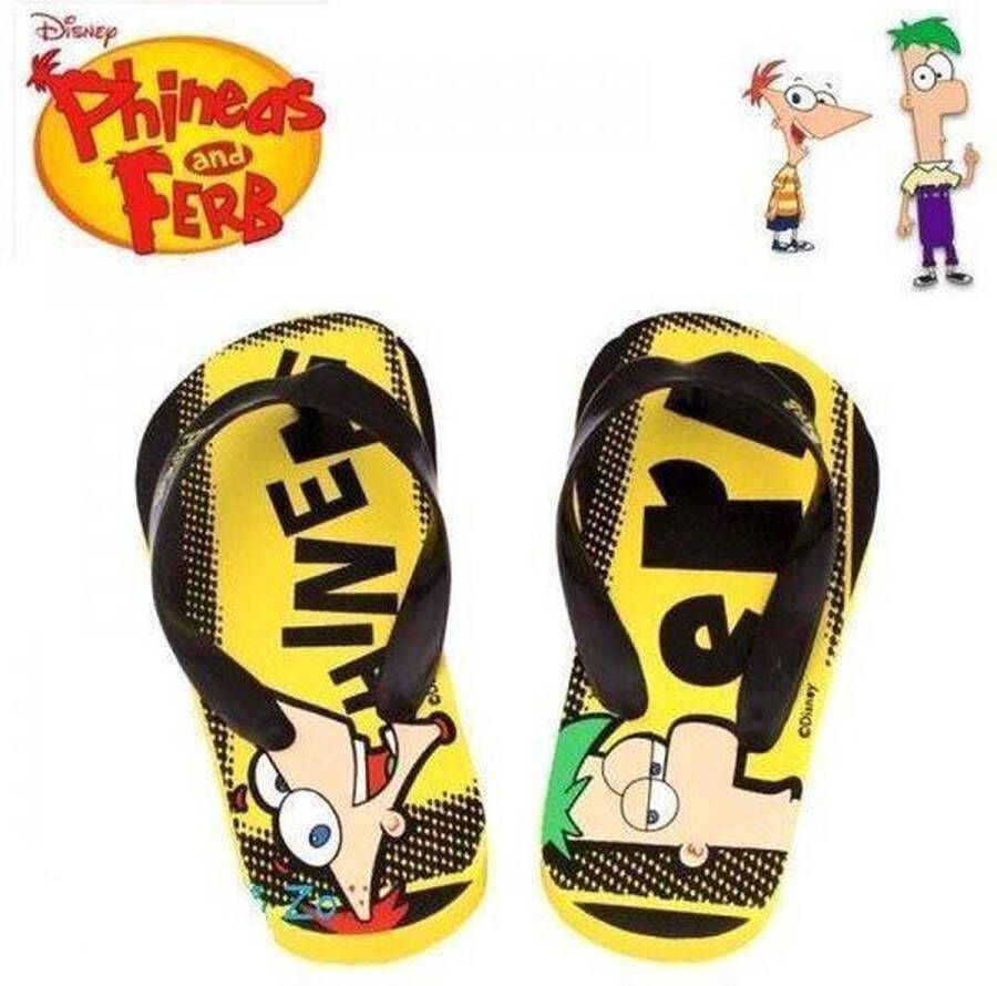 Disney Phineas and Ferb slippers