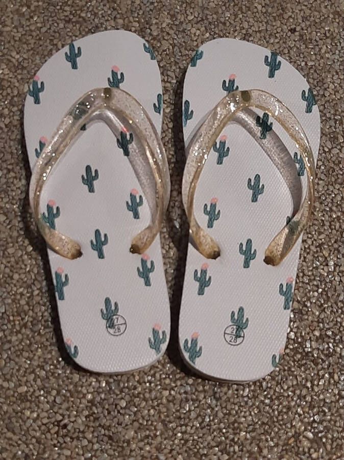 cactus teenslippers