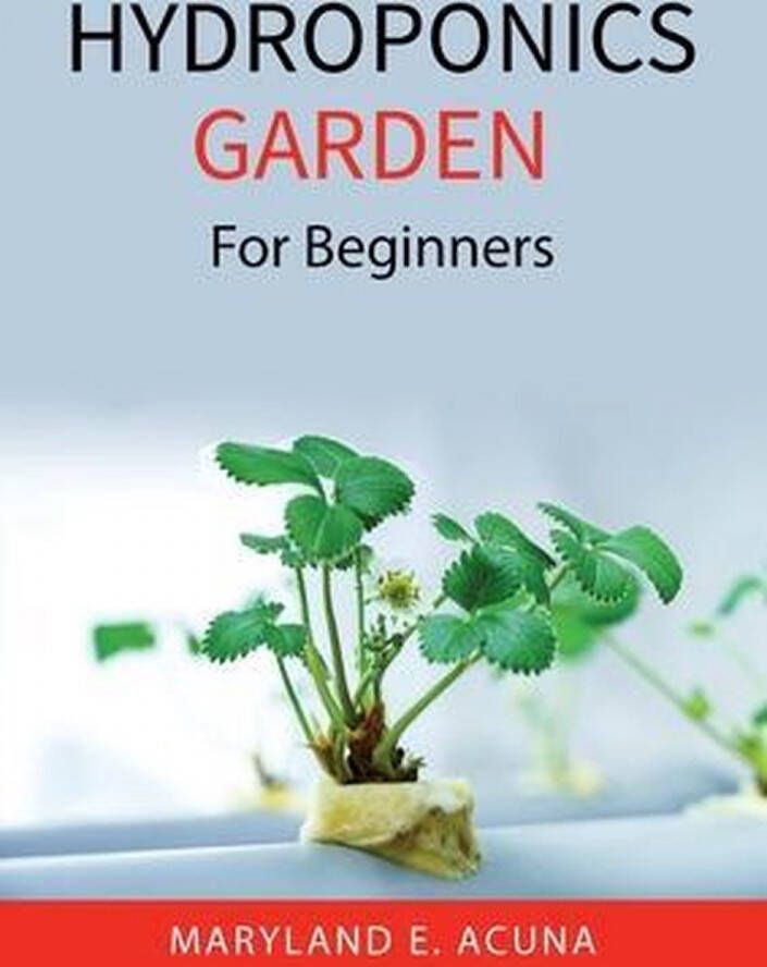 Hydroponics Garden: For Beginners