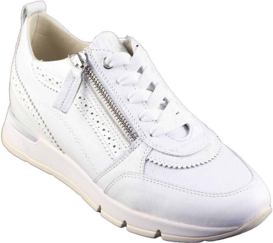 DL Sport 6523.Sun Bianco