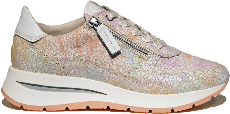 DL Sport 6561 Multicolor