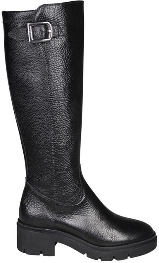 DL Sport 6805 vers