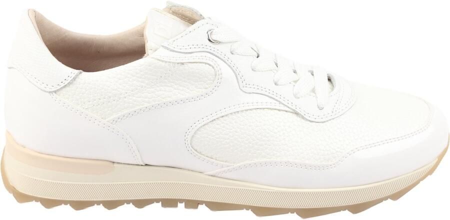 DL Sport 6957.Caye Bianco