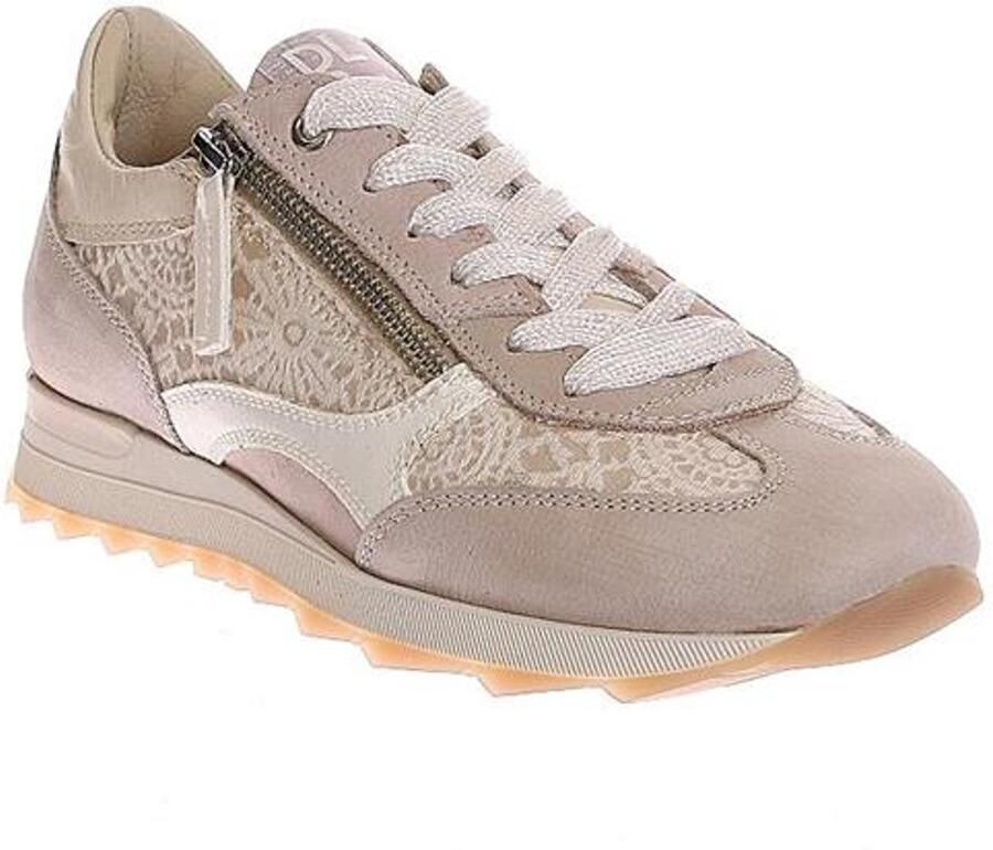 DL Sport 6959 vers