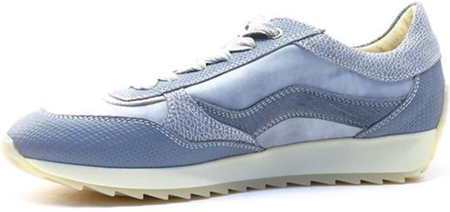 DL Sport 6988 vers