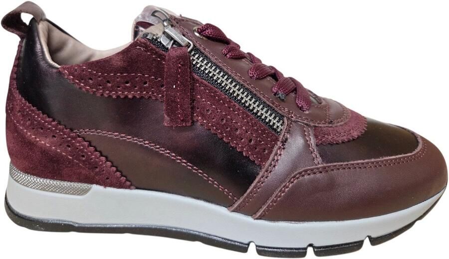 DL Sport 7116 944 03 Vitello Vino Sneakers Aubergine Leer Dames Aubergine