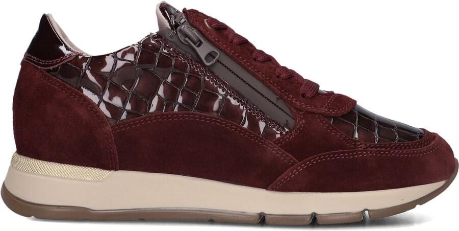 DL SPORT Lage Sneakers Dames 7118 Bruin