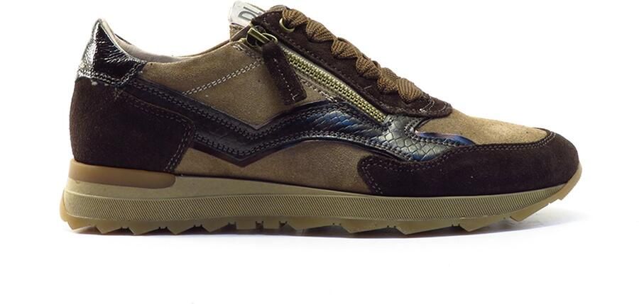 DL Sport Cacao beige combi 7140 Beige combi BEIGE