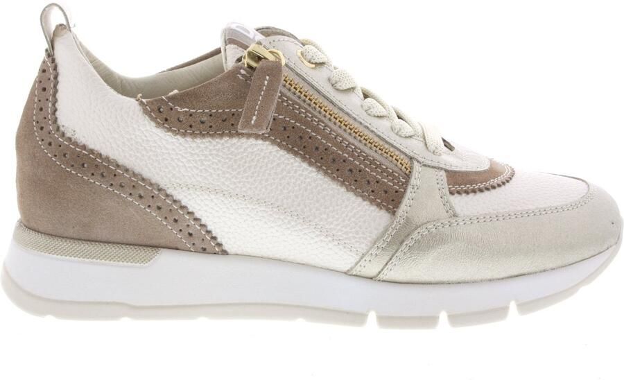 DL Sport Dames Sneakers 6931 Versione 02 Multi - Foto 2