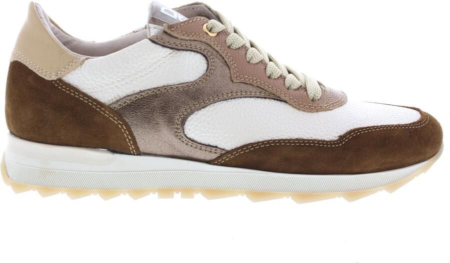 DL Sport Dames Sneakers 6957-03 Bruciato Dore Osso Multi