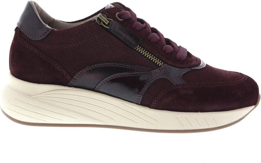 DL Sport 7131HK 722 01 Velour Rubino Sneakers Aubergine Suede Dames Breedtemaat H K Aubergine - Foto 2