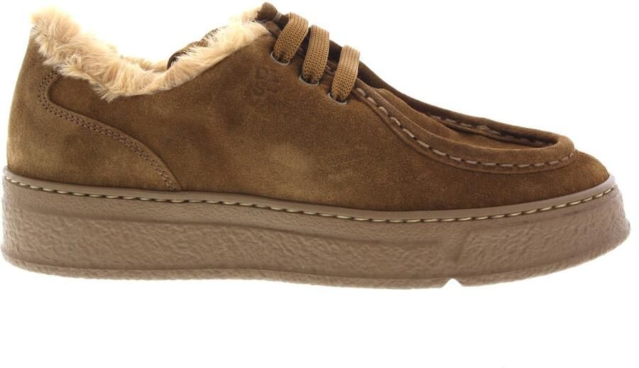 DL Sport Dames Veterschoenen 7110 Versione 01 Bruin