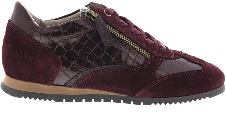 DL Sport Dames Veterschoenen 7135h Versione 04 Bordeaux