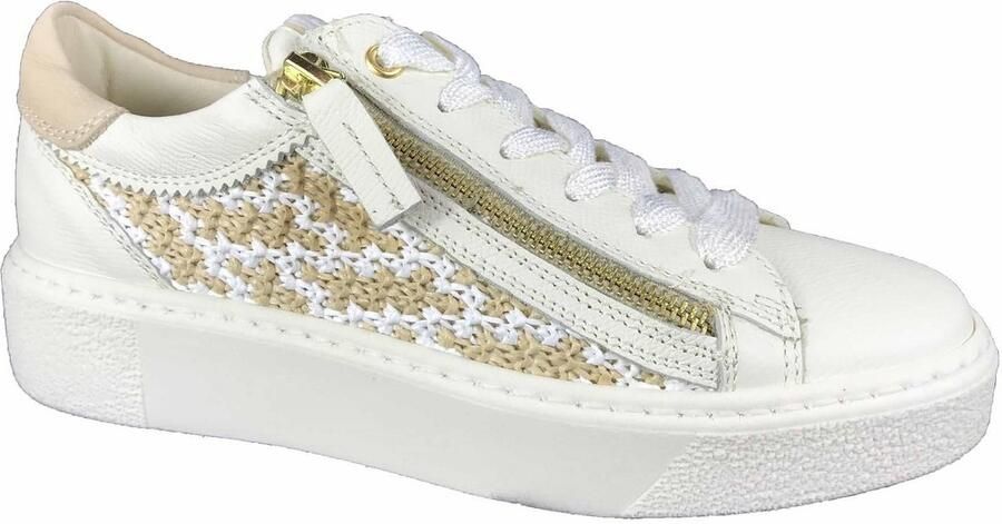 DL Sport SNEAKER 6905 V06