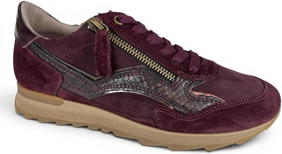 DL Sport SNEAKER 7140 V04