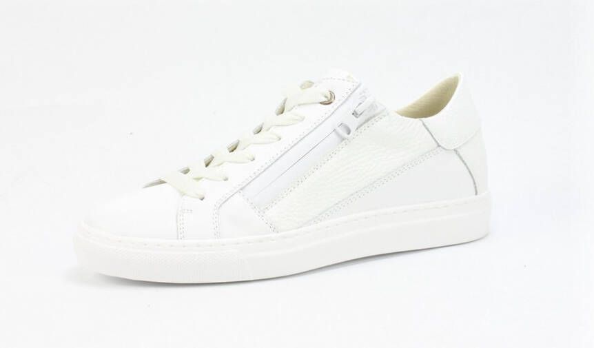 DL Sport DLSport 5619 vitello bianco WIT