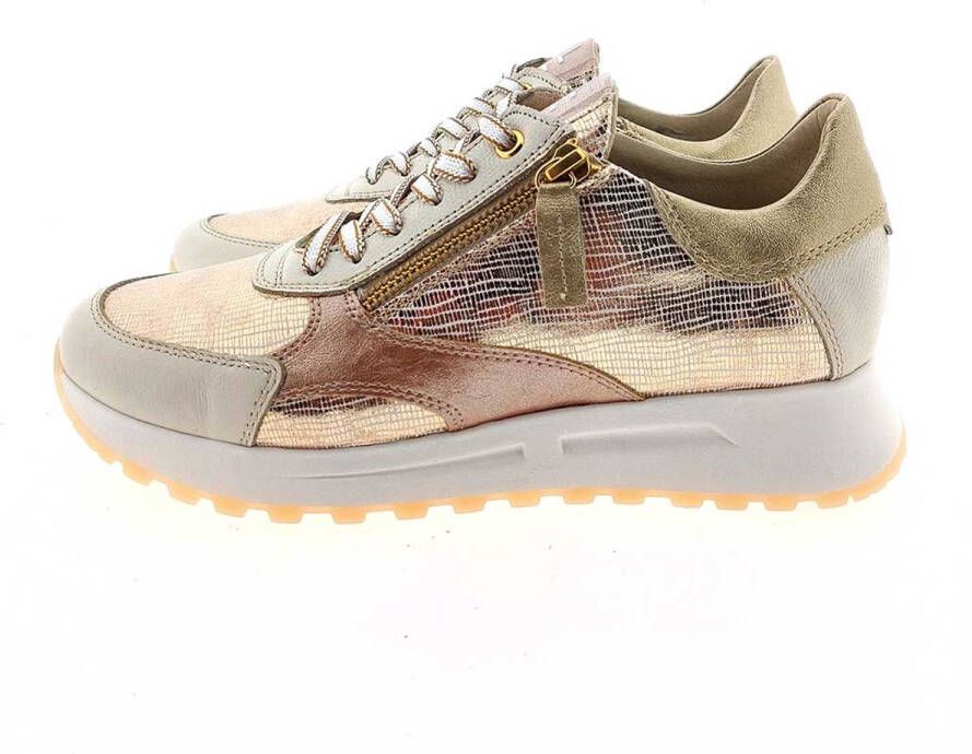 DL-Sport DLSport 6526 Ancona goud