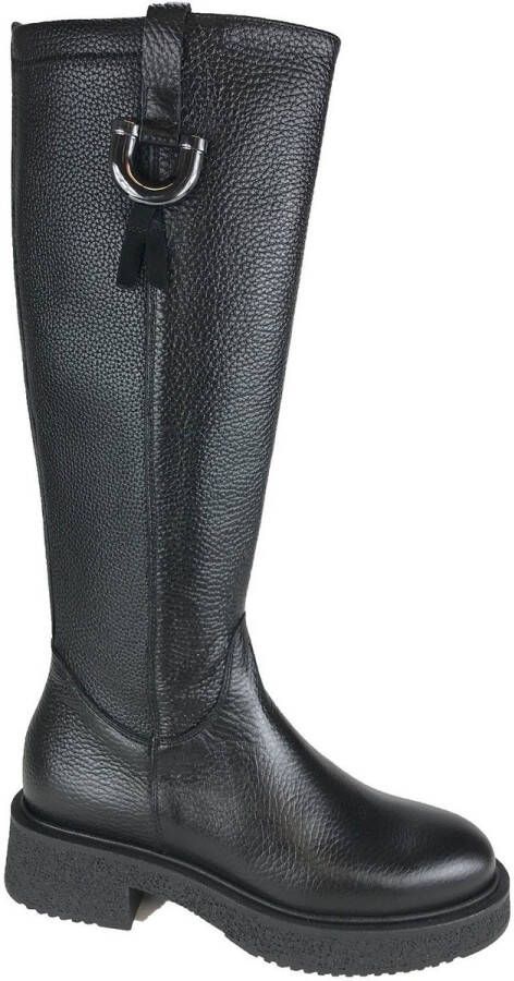 DL Sport LAARS 6779 V01