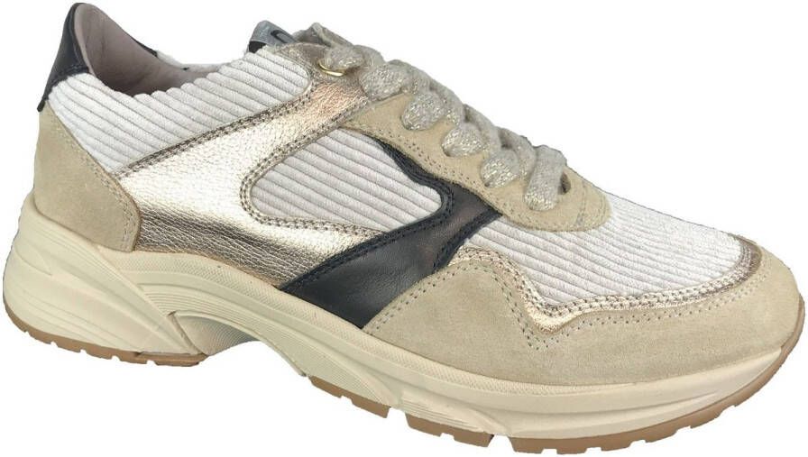 DL Sport Sneaker Accessoires