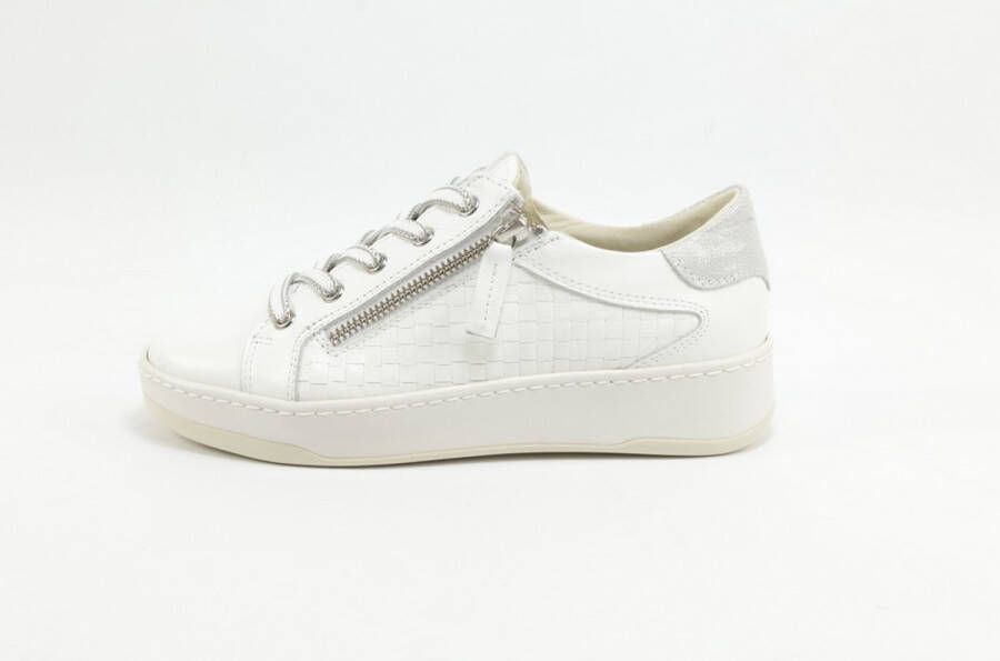DLSport 6501 versione 01 sun WIT