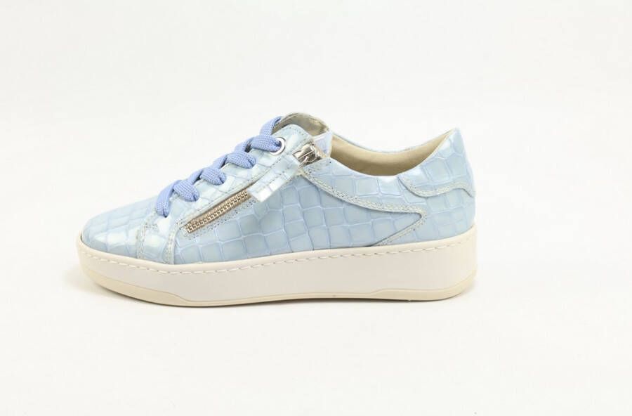 DLSport 6504 versione 0C navajo celeste L.BLAUW