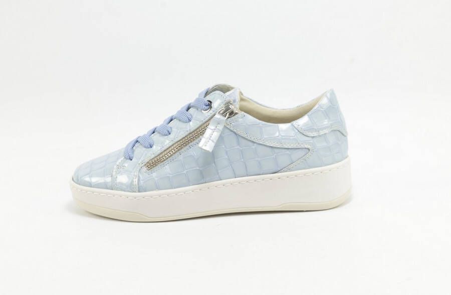 DLSport 6504 versione 0C navajo celeste L.BLAUW