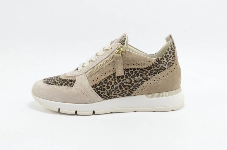 DLSport 6523 versione 0A velour sheer leopardo BEIGE