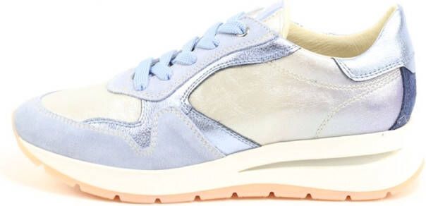 DLSport 6562 versione 04 velour illusion BLAUW