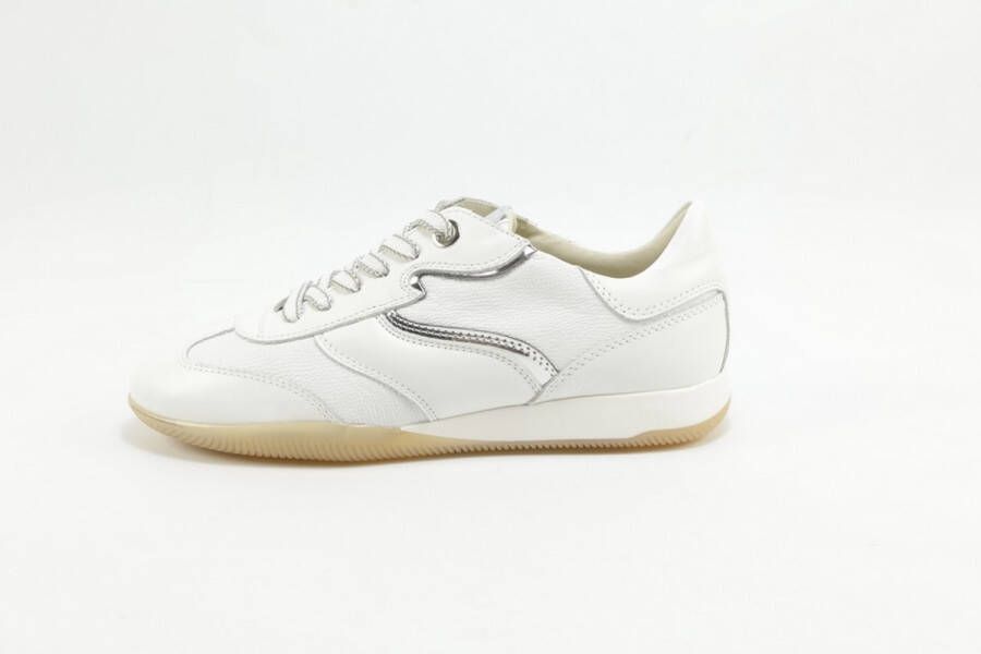 DLSport 6572 versione 0D sun WIT