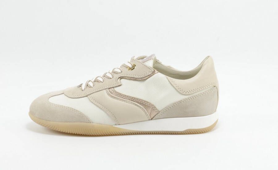 DLSport 6572 versione 0L velour sheer alpina burro BEIGE