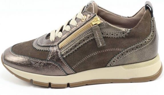 DLSport 6719 versione