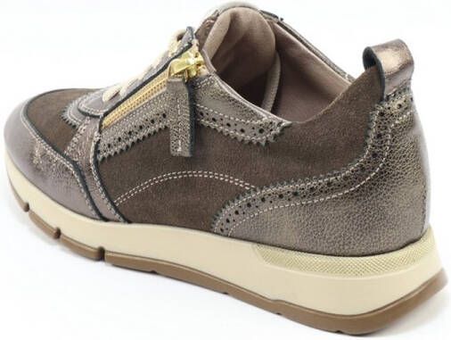 DLSport 6719 versione