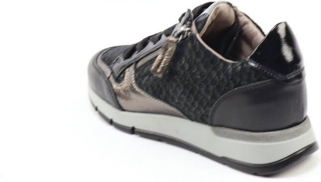 DLSport 6721 versione
