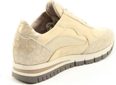 DLSport 6725 versione 0c