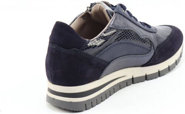DLSport 6725 versione