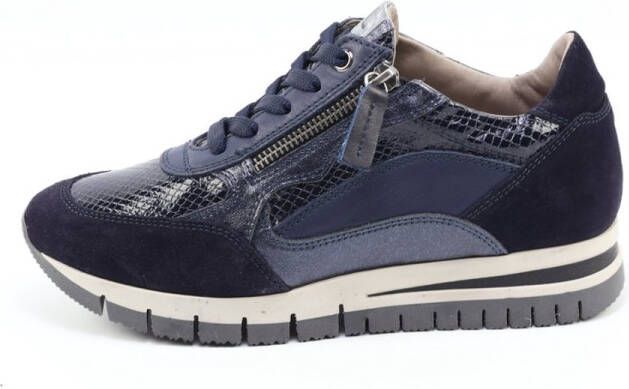 DLSport 6725 versione