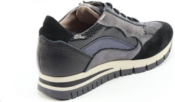 DLSport 6725 versione