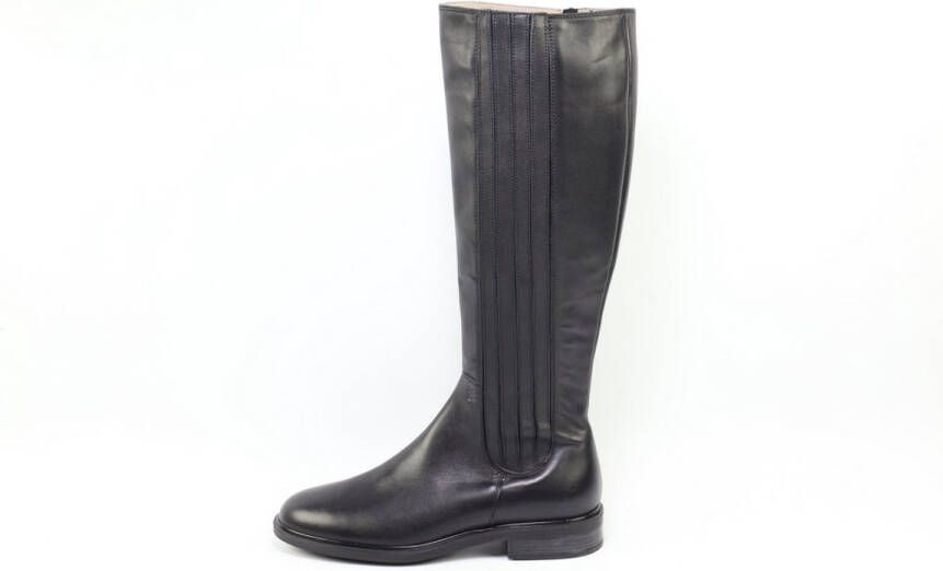 DLSport 6829 versione 03 vitello