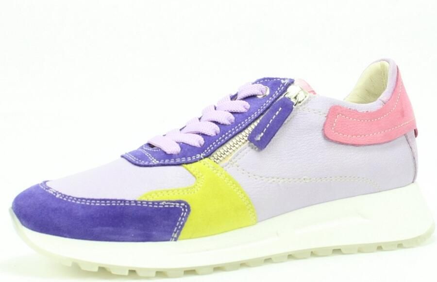 DLSport 6202 velours viola PAARS