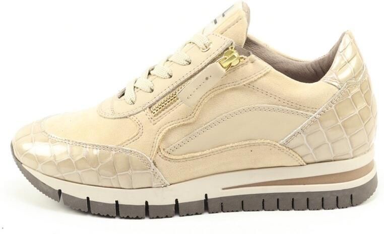DLSport 6725 versione 0c