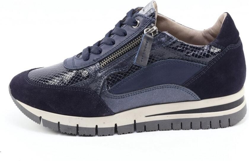 DLSport 6725 versione