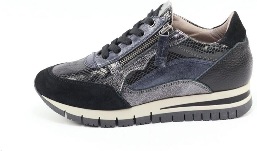 DLSport 6725 versione