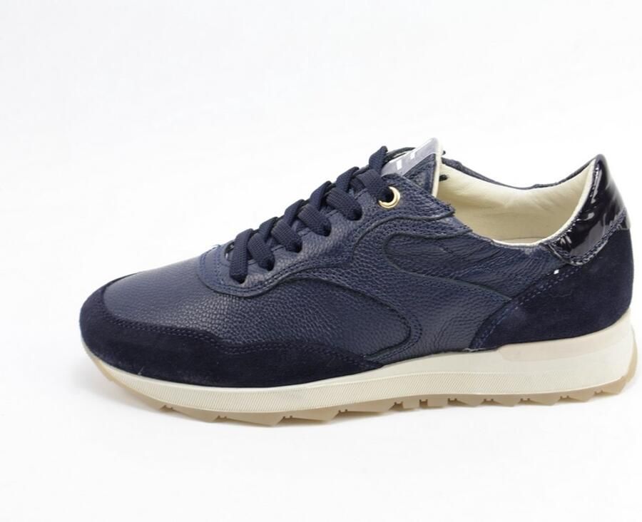 DLSport 6957 alpina oceano