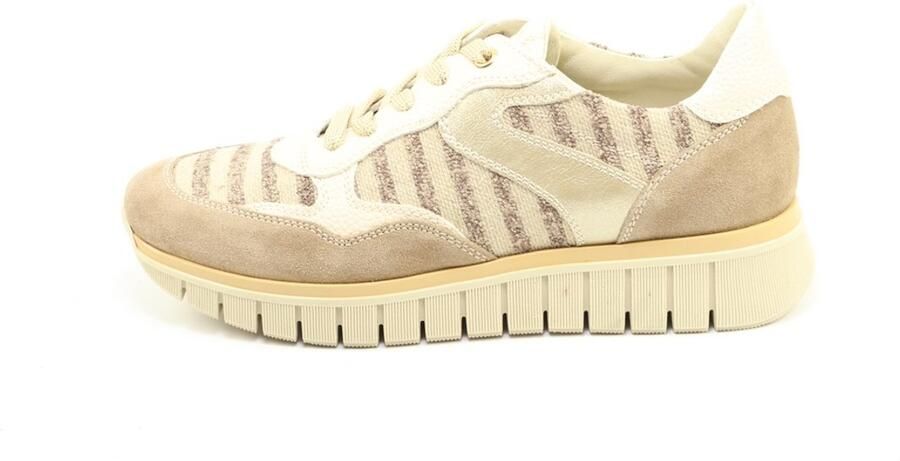 DLSport 6969 velour moonlight