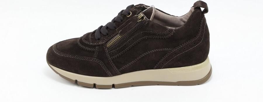 DLSport 7116 Sneakers Bruin