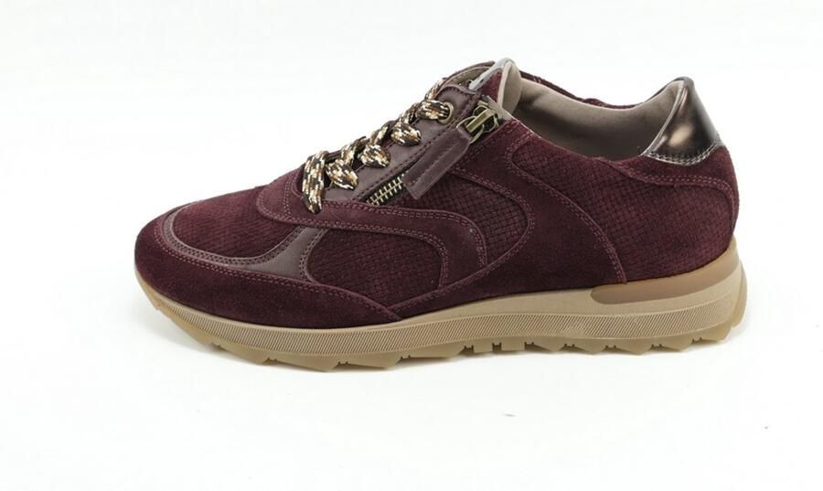 DLSport 7141 Sneakers Bordo