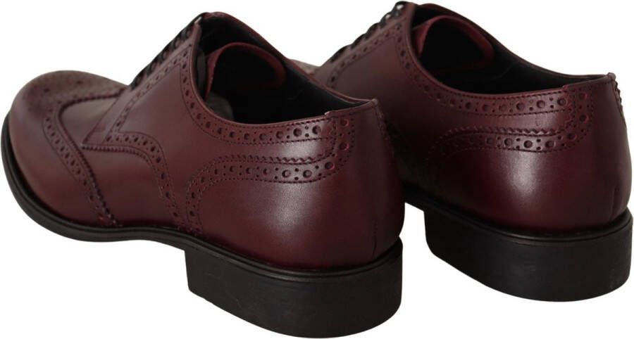 Dolce & Gabbana Bordeaux Leather Oxford Wingtip Formal Shoes