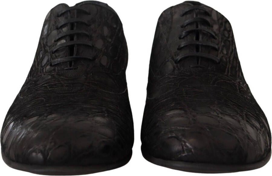 Dolce & Gabbana Verhoog je formele outfit met echte caiman lederen zakelijke schoenen Black Heren